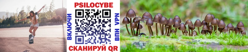 Купить  Апрелевка  Галлюциногенные грибы Magic Shrooms 